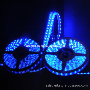 Super Bright Flexible LED Ribbon 5050 LED Strips